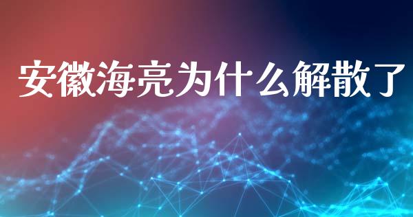 安徽海亮为什么解散了_https://wap.fcdydaikuan.com_期货品种_第1张