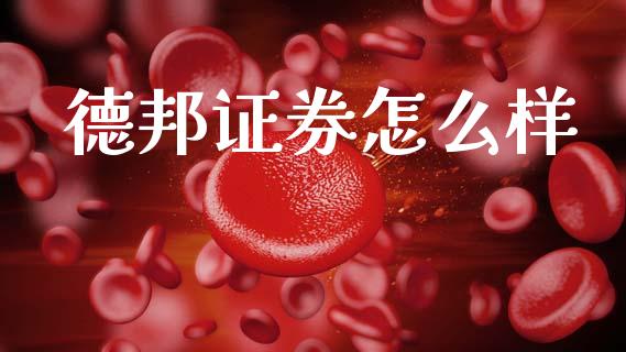 德邦证券怎么样_https://wap.fcdydaikuan.com_金融机构_第1张