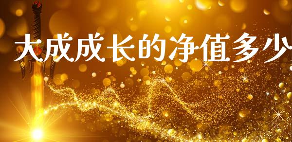 大成成长的净值多少_https://wap.fcdydaikuan.com_金融机构_第1张