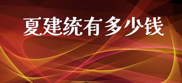 夏建统有多少钱_https://wap.fcdydaikuan.com_国际投资_第1张