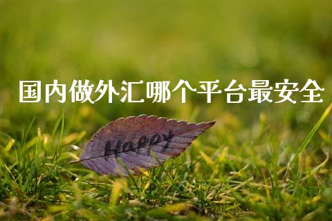 国内做外汇哪个平台最安全_https://wap.fcdydaikuan.com_新股数据_第1张