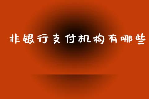 非银行支付机构有哪些_https://wap.fcdydaikuan.com_新股数据_第1张