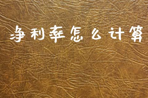 净利率怎么计算_https://wap.fcdydaikuan.com_金融机构_第1张