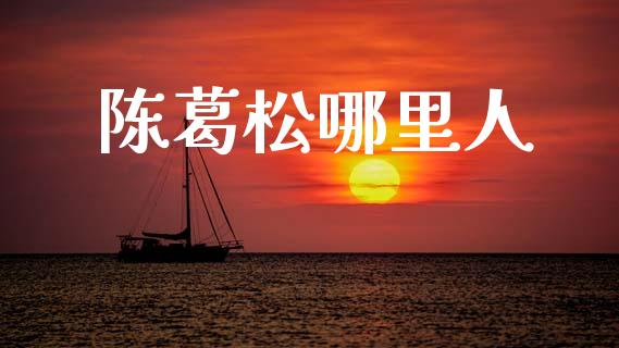 陈葛松哪里人_https://wap.fcdydaikuan.com_期货品种_第1张