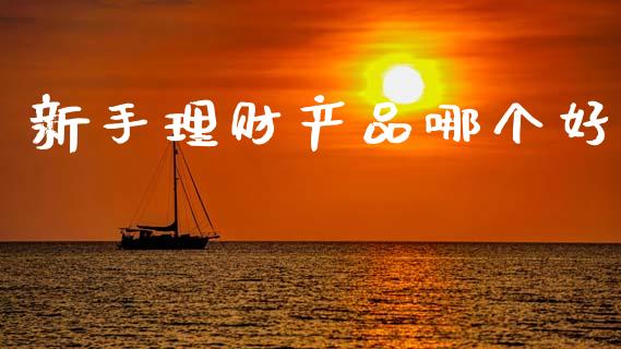 新手理财产品哪个好_https://wap.fcdydaikuan.com_新股数据_第1张