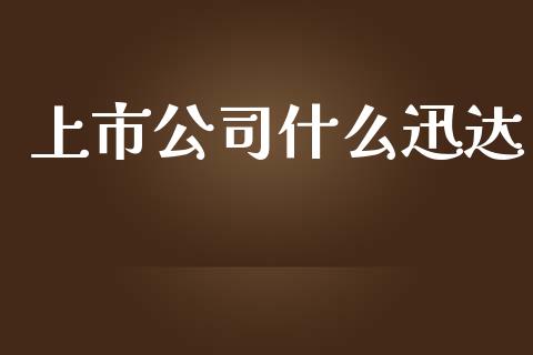 上市公司什么迅达_https://wap.fcdydaikuan.com_期货品种_第1张