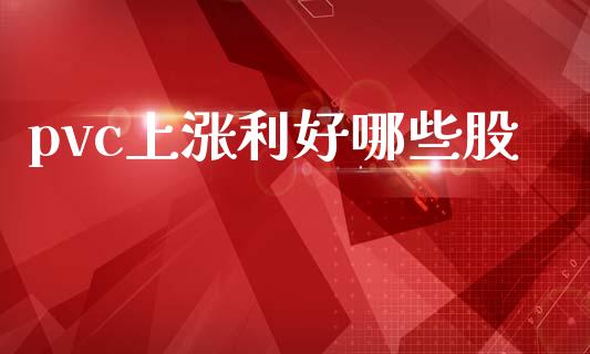 pvc上涨利好哪些股_https://wap.fcdydaikuan.com_新股数据_第1张