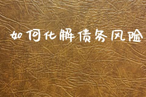 如何化解债务风险_https://wap.fcdydaikuan.com_期货品种_第1张