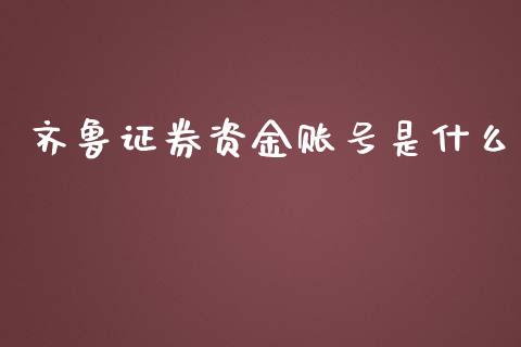 齐鲁证券资金账号是什么_https://wap.fcdydaikuan.com_投资策略_第1张