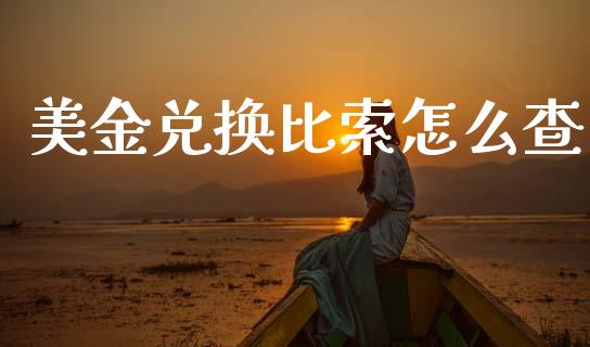 美金兑换比索怎么查_https://wap.fcdydaikuan.com_理财顾问_第1张