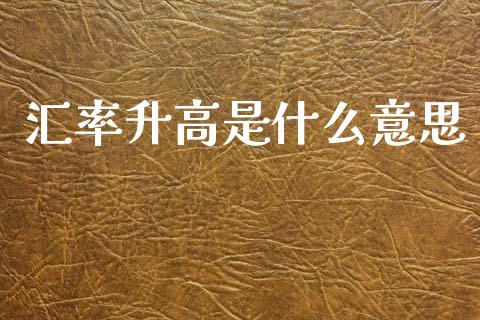 汇率升高是什么意思_https://wap.fcdydaikuan.com_投资策略_第1张