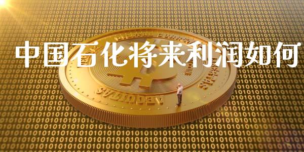 中国石化将来利润如何_https://wap.fcdydaikuan.com_国际投资_第1张