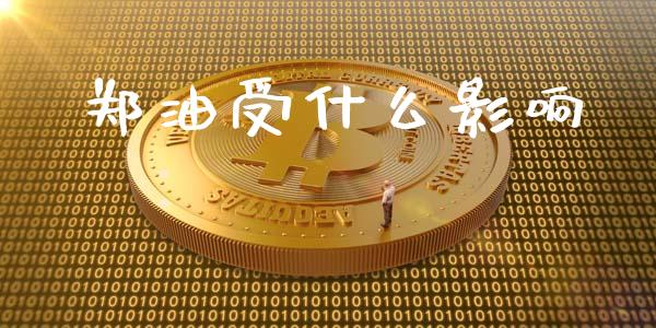 郑油受什么影响_https://wap.fcdydaikuan.com_新股数据_第1张