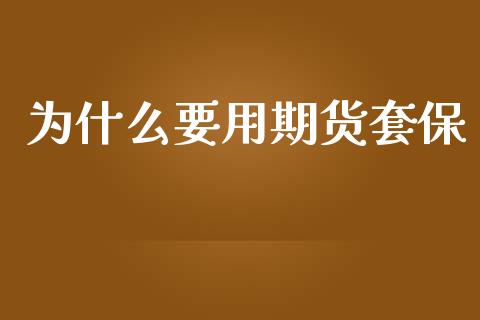 为什么要用期货套保_https://wap.fcdydaikuan.com_期货品种_第1张