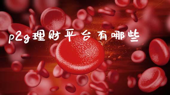 p2g理财平台有哪些_https://wap.fcdydaikuan.com_理财顾问_第1张
