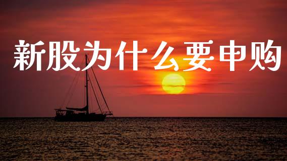 新股为什么要申购_https://wap.fcdydaikuan.com_金融机构_第1张