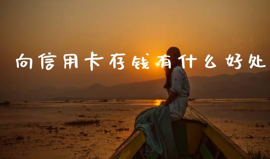 向信用卡存钱有什么好处_https://wap.fcdydaikuan.com_投资策略_第1张