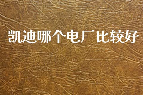 凯迪哪个电厂比较好_https://wap.fcdydaikuan.com_金融机构_第1张