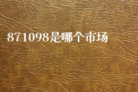 871098是哪个市场_https://wap.fcdydaikuan.com_金融机构_第1张