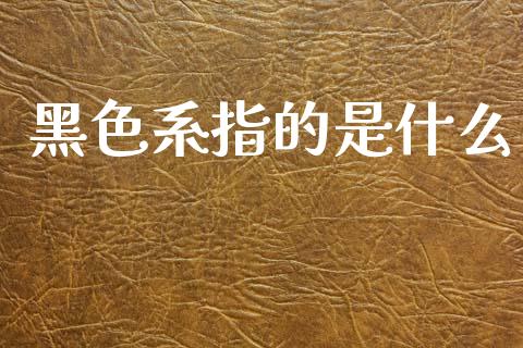 黑色系指的是什么_https://wap.fcdydaikuan.com_国际投资_第1张