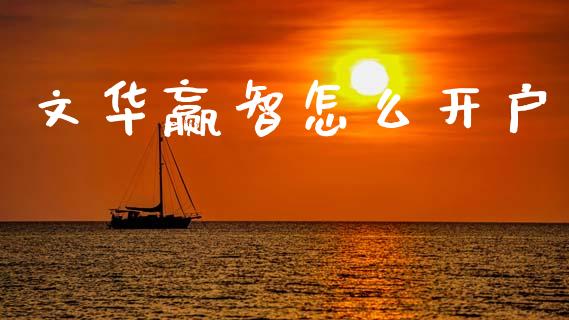 文华赢智怎么开户_https://wap.fcdydaikuan.com_金融机构_第1张