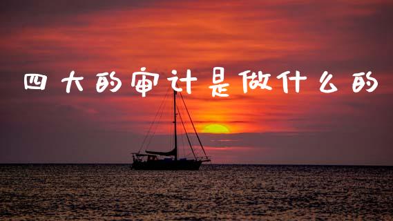 四大的审计是做什么的_金融机构_第1张_国际投资_理财顾问_投资策略_金融机构 四大的审计是做什么的_https://wap.fcdydaikuan.com_金融机构_第1张