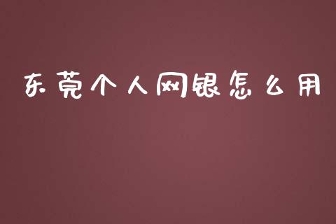 东莞个人网银怎么用_https://wap.fcdydaikuan.com_金融机构_第1张