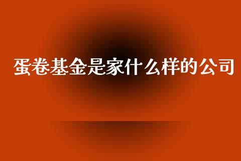 蛋卷基金是家什么样的公司_https://wap.fcdydaikuan.com_投资策略_第1张