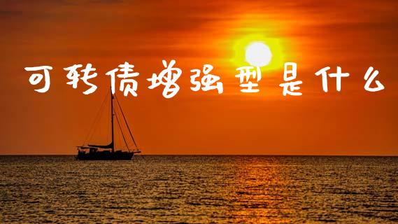 可转债增强型是什么_https://wap.fcdydaikuan.com_金融机构_第1张