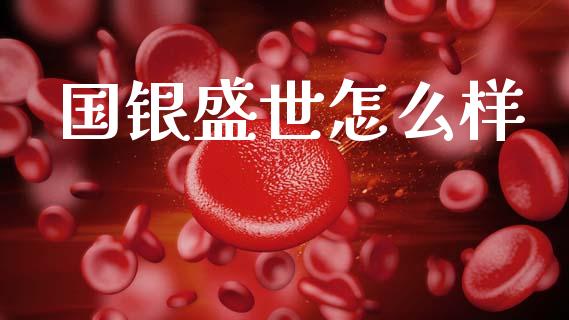 国银盛世怎么样_https://wap.fcdydaikuan.com_理财顾问_第1张