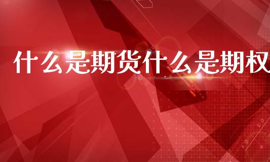 什么是期货什么是期权_https://wap.fcdydaikuan.com_国际投资_第1张