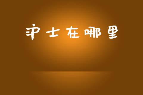 沪士在哪里_https://wap.fcdydaikuan.com_期货品种_第1张