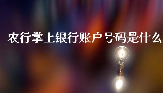 农行掌上银行账户号码是什么_https://wap.fcdydaikuan.com_理财顾问_第1张