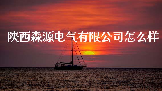 陕西森源电气有限公司怎么样_https://wap.fcdydaikuan.com_金融机构_第1张