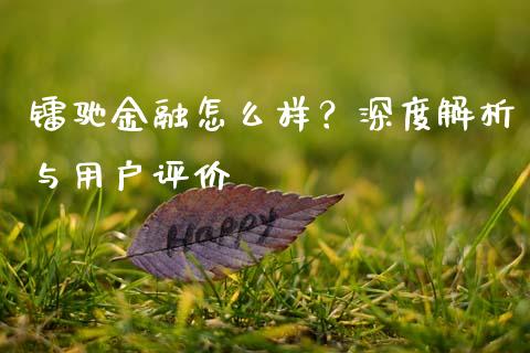 镭驰金融怎么样？深度解析与用户评价_https://wap.fcdydaikuan.com_投资策略_第1张