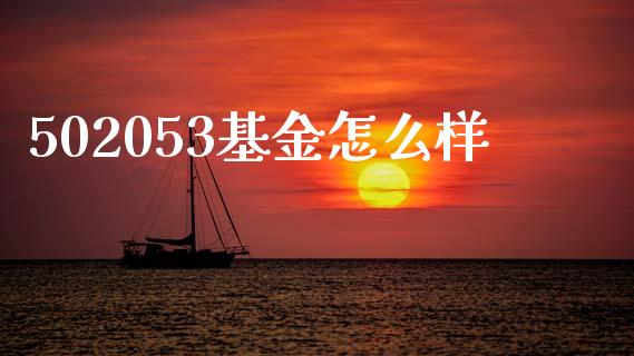 502053基金怎么样_https://wap.fcdydaikuan.com_期货品种_第1张
