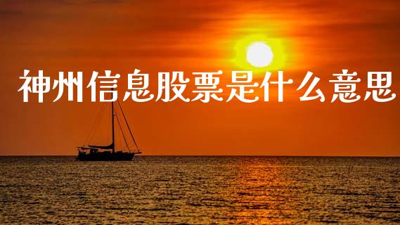 神州信息股票是什么意思_https://wap.fcdydaikuan.com_理财顾问_第1张