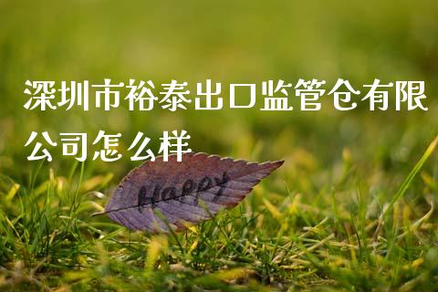 深圳市裕泰出口监管仓有限公司怎么样_https://wap.fcdydaikuan.com_国际投资_第1张