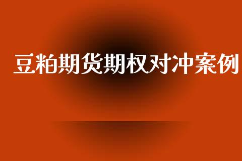 豆粕期货期权对冲案例_https://wap.fcdydaikuan.com_理财顾问_第1张