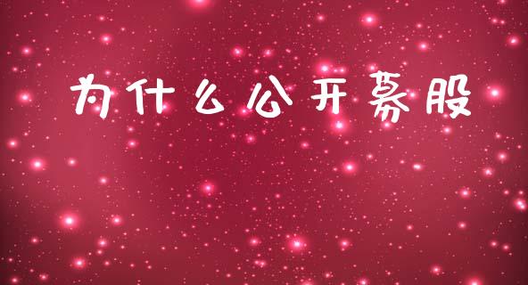 为什么公开募股_https://wap.fcdydaikuan.com_金融机构_第1张