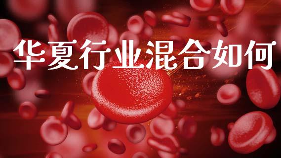 华夏行业混合如何_https://wap.fcdydaikuan.com_国际投资_第1张