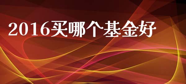 2016买哪个基金好_https://wap.fcdydaikuan.com_期货品种_第1张