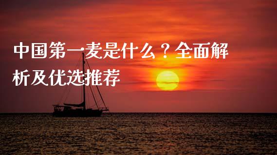 中国第一麦是什么？全面解析及优选推荐_https://wap.fcdydaikuan.com_金融机构_第1张