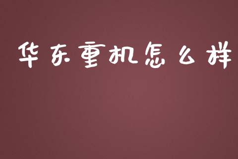华东重机怎么样_https://wap.fcdydaikuan.com_期货品种_第1张