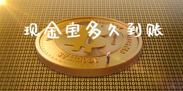 现金宝多久到账_https://wap.fcdydaikuan.com_投资策略_第1张