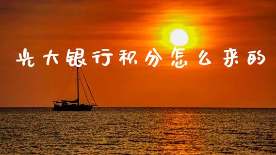 光大银行积分怎么来的_https://wap.fcdydaikuan.com_金融机构_第1张