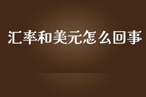 汇率和美元怎么回事_https://wap.fcdydaikuan.com_国际投资_第1张