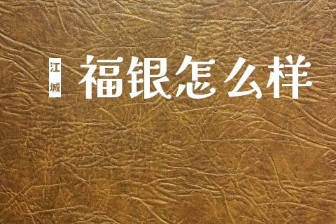 鑫福银怎么样_https://wap.fcdydaikuan.com_理财顾问_第1张