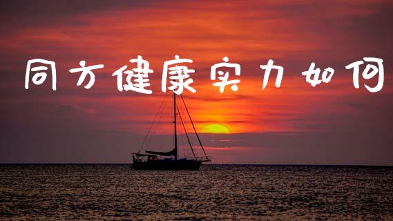 同方健康实力如何_https://wap.fcdydaikuan.com_理财顾问_第1张