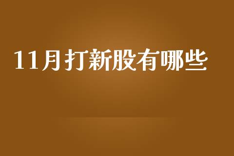 11月打新股有哪些_https://wap.fcdydaikuan.com_新股数据_第1张
